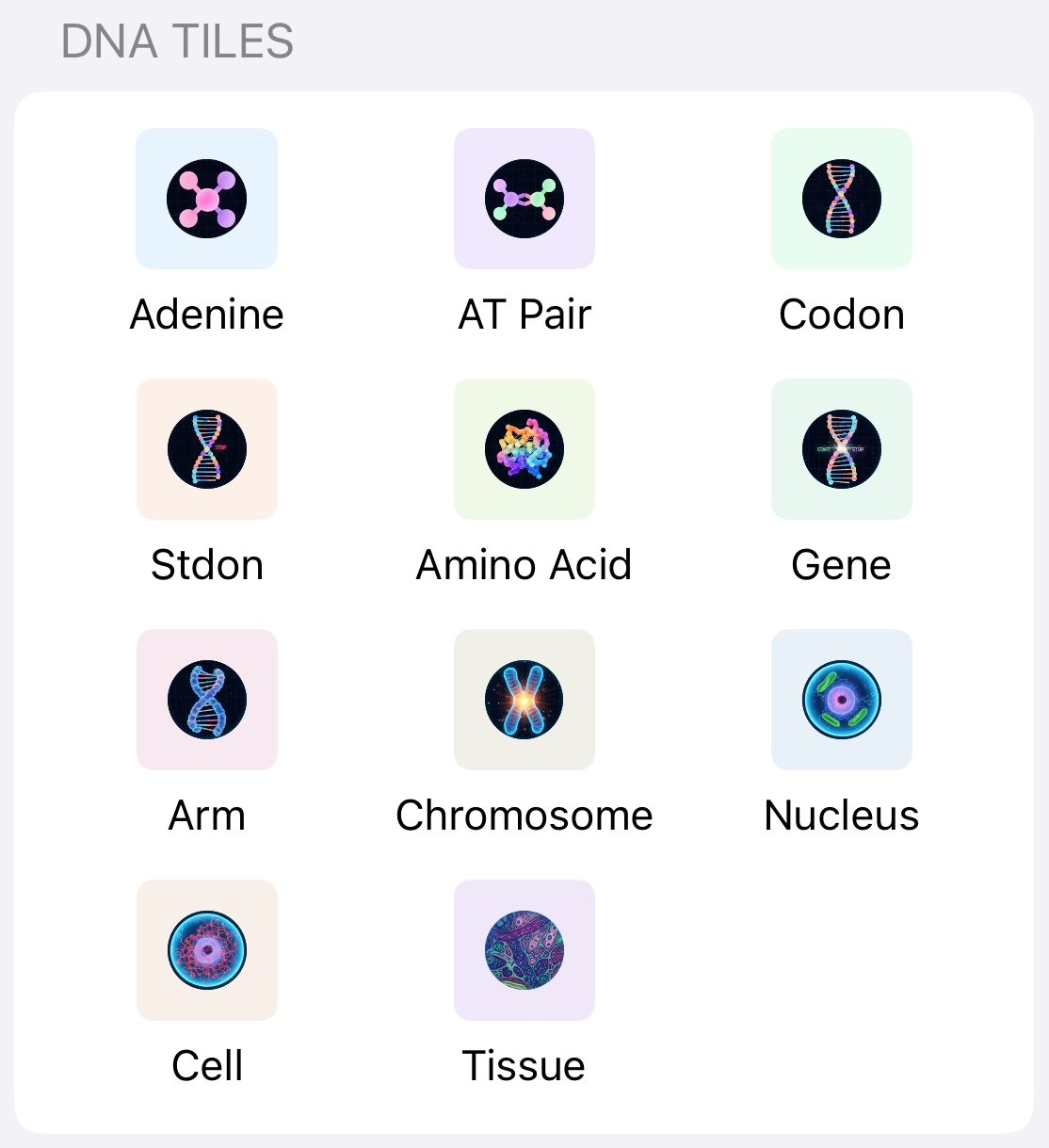 Beautiful Themes